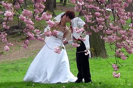 Düğün sezonu açıldı