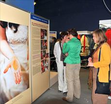 Duisburg'un gelinleri